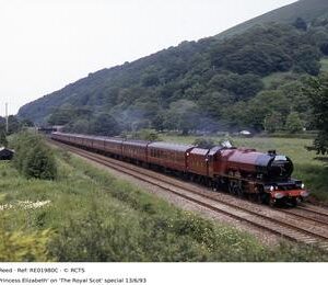RE01980C