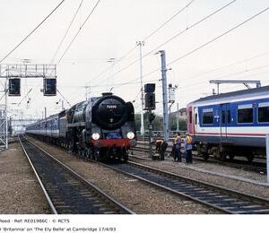 RE01986C