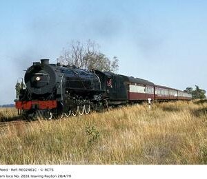 RE02461C