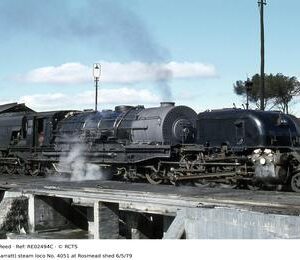 RE02494C