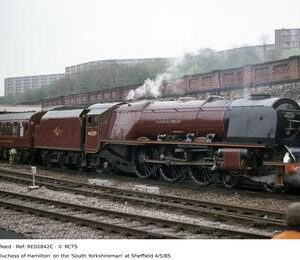 RE02842C