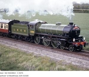 RE02981C