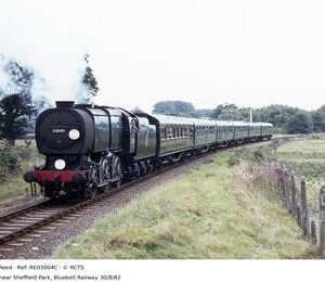 RE03004C