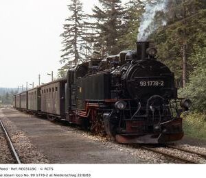 RE03119C