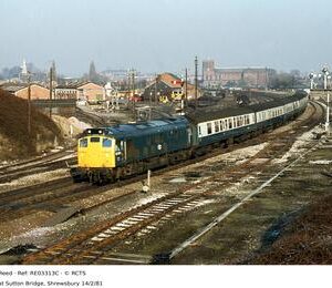 RE03313C