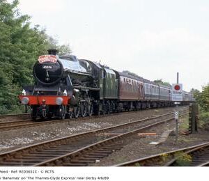 RE03651C