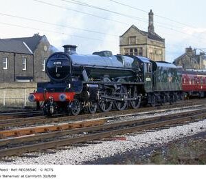 RE03654C