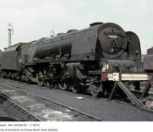 RE03675C