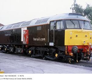 RE03814C