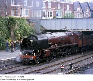 RE03822C