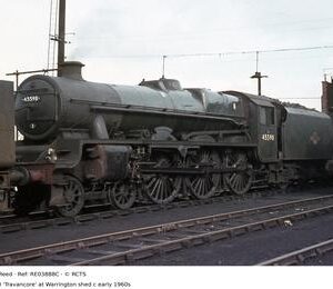 RE03888C
