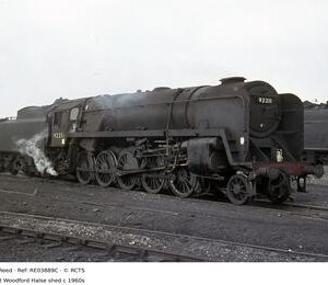 RE03889C
