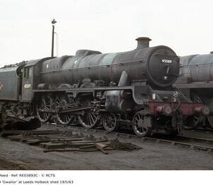 RE03893C