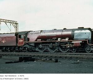 RE03921C
