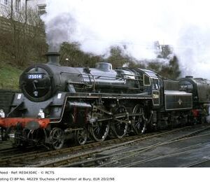 RE04304C
