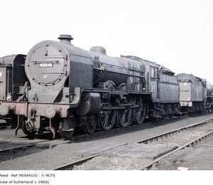 RE04411C