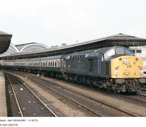 RE04434C