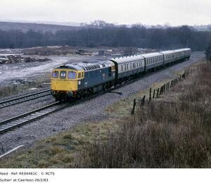 RE04461C