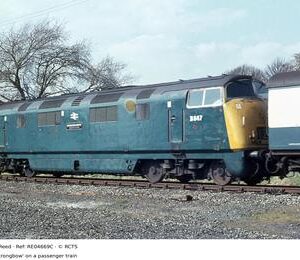 RE04669C