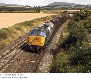 RE04824C