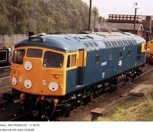 RE04913C