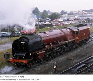 RE04955C