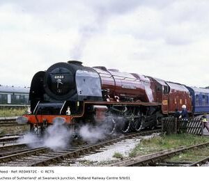 RE04972C