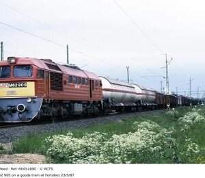 RE05189C