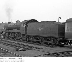 RGW0011