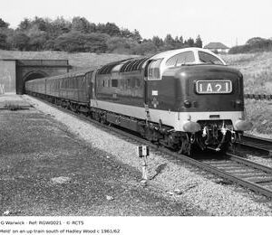 RGW0021