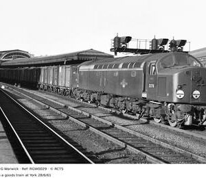 RGW0029