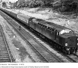 RGW0030