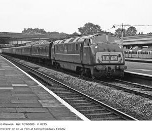 RGW0080