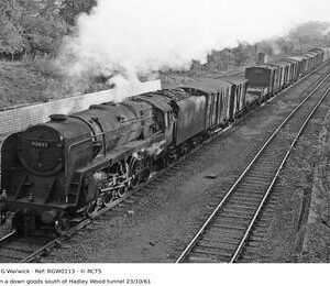 RGW0113