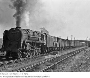 RGW0114