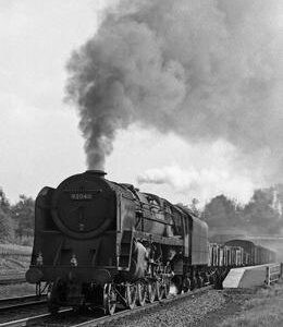 RGW0115VF
