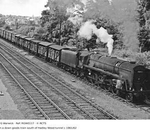 RGW0117