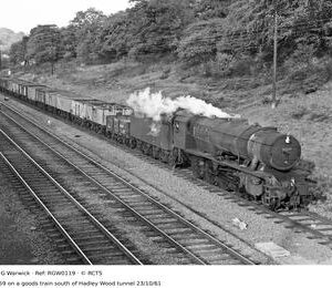 RGW0119