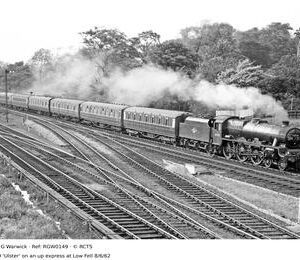 RGW0149