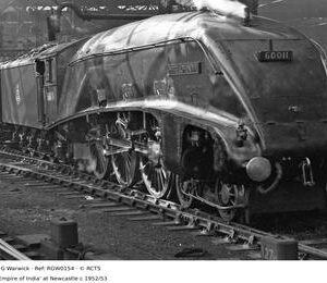 RGW0154
