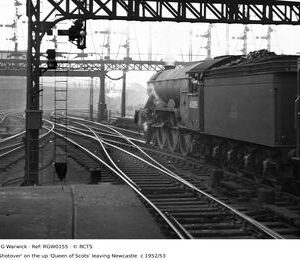 RGW0155