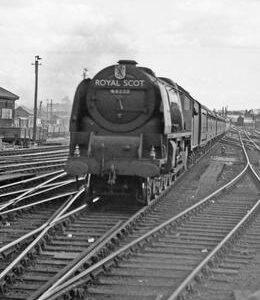 RGW0183VF