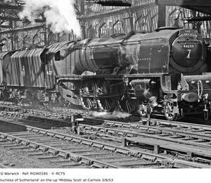 RGW0185