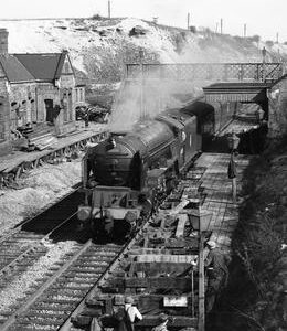 RGW0196VF