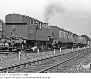 RGW0213