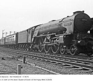 RGW0216