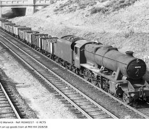 RGW0217