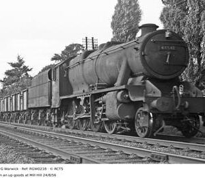 RGW0218