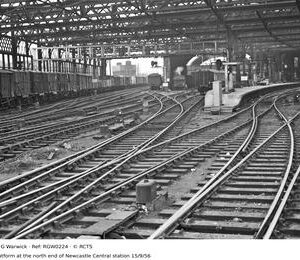RGW0224