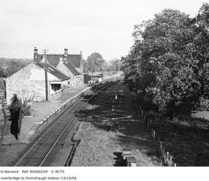 RGW0229